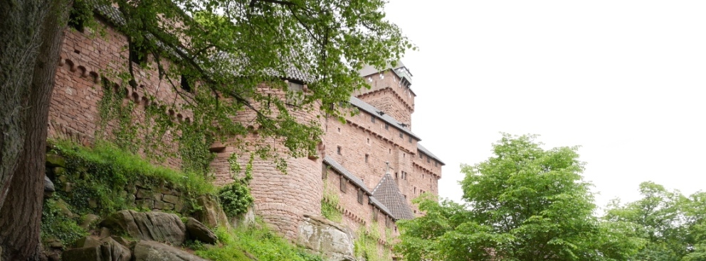 Eleneth, l'alliance retrouvée : Balade elfique dans la forêt - © Château du Haut-Koenigsbourg - Château du Haut-Koenigsbourg, Alsace, France