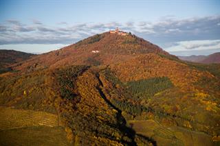 Le château du Haut-Koenigsbourg a été érigé sur un promontoire rocheux à plus de 750 mètres d'altitude... - Tristan Vuano - Château du Haut-Koenigsbourg, Alsace, France
