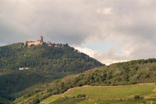 Vue sur le château du Haut-Koenigsbourg depuis la plaine - Jonathan SARAGO - CD67 - Château du Haut-Koenigsbourg, Alsace, France