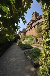 Jardin médiéval du château du Haut-Koenigsbourg - © Marc Dossmann