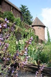 Medieval garden at Haut-Koenigsbourg castle - © château du Haut-Koenigsbourg