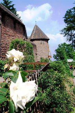 Medieval garden at Haut-Koenigsbourg castle - © château du Haut-Koenigsbourg