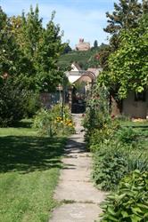 Medieval garden in Kintzheim - © DR