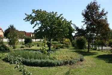 Medieval garden in Kintzheim - © circuit des jardins médiévaux
