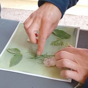 Initiation au cyanotype